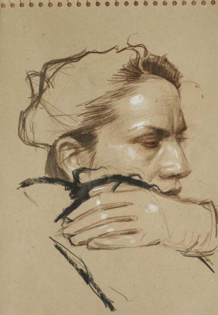 Etude de Laurence, pastels gras et fusain, Craig hanna