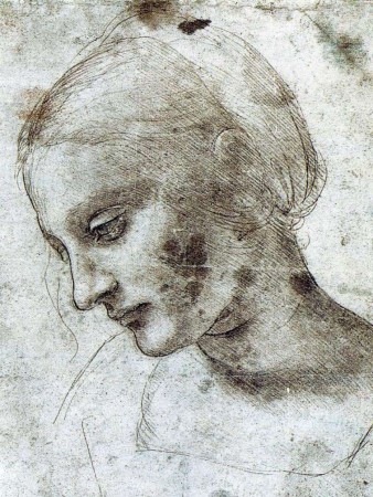 Dessin de Leonard de Vinci